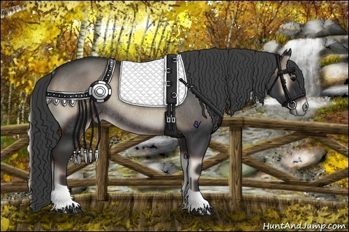 Horse Color:Blue Onyx Rabicano 