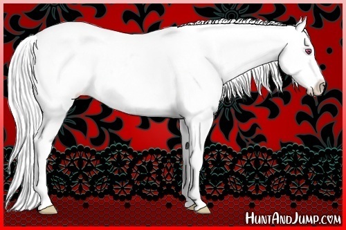 Horse Color:Silver Brown Chinchilla Snowflake Varnish