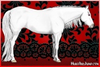 Horse Color:Silver Brown Chinchilla Snowflake Varnish 