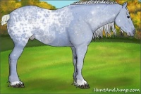 Horse Color:Watercolor Silver Blue Ice Roan 