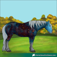 Horse Color:ERROR: UNKNOWN ANOMALY