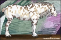 Horse Color:Chocolate Palomino Roan Onyx Near Leopard