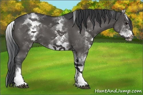 Horse Color:White Spotted Black Sabino 