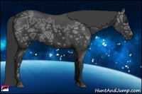 Horse Color:Black Ice 