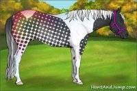 Horse Color:Black Tobiano Rabicano 