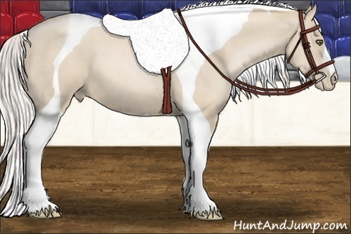 Horse Color:Palomino Pearl Tobiano 