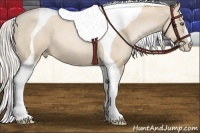 Horse Color:Palomino Pearl Tobiano