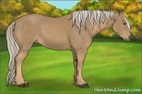 Horse Color:Palomino 