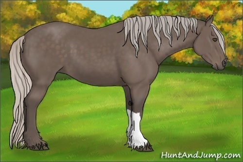 Horse Color:Silver Black 
