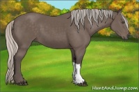Horse Color:Silver Black 