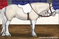 Horse Color:Gold Cream Champagne Roan Pearl Splash 