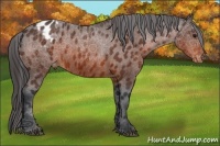Horse Color:Brown Varnish 