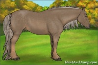 Horse Color:Chocolate Palomino Roan