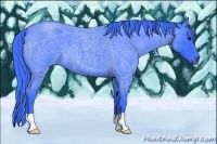 Horse Color:Watercolor Smoky Blue Roan 