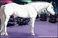 Horse Color:Smoky Black Frame Appaloosa