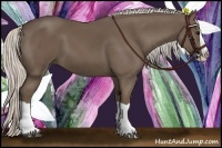 Horse Color:Silver Black Splash