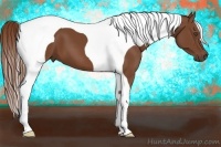Horse Color:Chestnut Tobiano