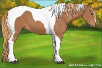 Horse Color:Chestnut Tobiano