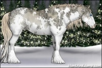 Horse Color:White Spotted Smoky Black Ice Pearl Splash Rabicano 