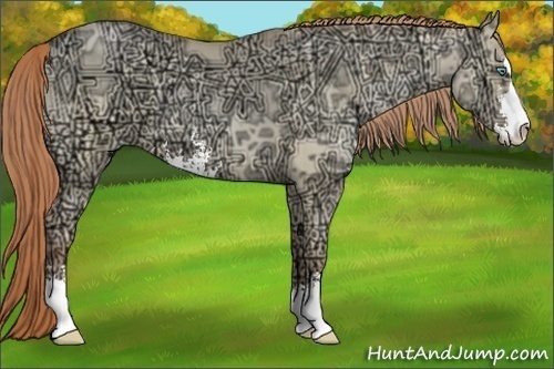 Horse Color:Smoky Grullo Ice Pearl Sabino 