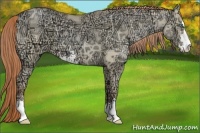 Horse Color:Smoky Grullo Ice Pearl Sabino