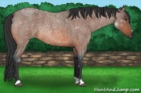 Horse Color:Bay Roan Rabicano 