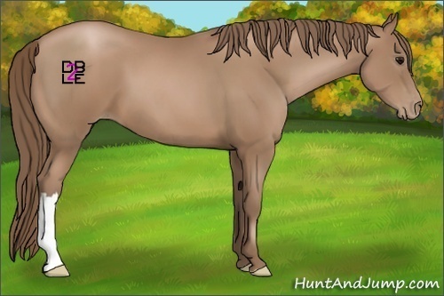 Horse Color:Black Pearl 