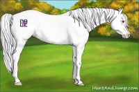 Horse Color:Bay Chinchilla Splash Varnish 