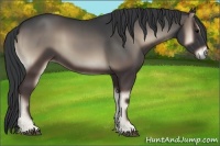 Horse Color:Blue Onyx 