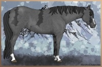 Horse Color:Blue Ice Roan Sabino