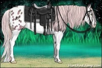 Horse Color:Watercolor Gold Champagne Ice Splash Appaloosa 