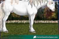 Horse Color:White Spotted Chestnut Ice Rabicano 