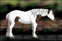 Horse Color:Liver Chestnut Ice Splash Tobiano 