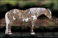 Horse Color:Watercolor White Spotted Silver Bay Ice Pearl