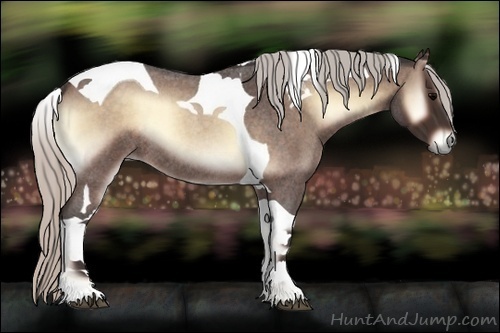 Horse Color:Silver Brown Roan Onyx Tobiano Rabicano