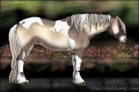 Horse Color:Silver Brown Roan Onyx Tobiano Rabicano
