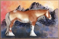 Horse Color:Silver Bay Onyx Sabino Tobiano Frame Rabicano 