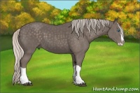 Horse Color:Silver Black Splash