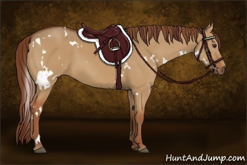 Horse Color:White Spotted Red Dun