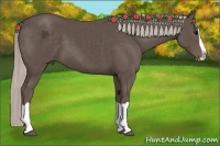 Horse Color:Silver Black Splash
