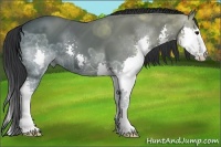 Horse Color:Black Ice Splash 