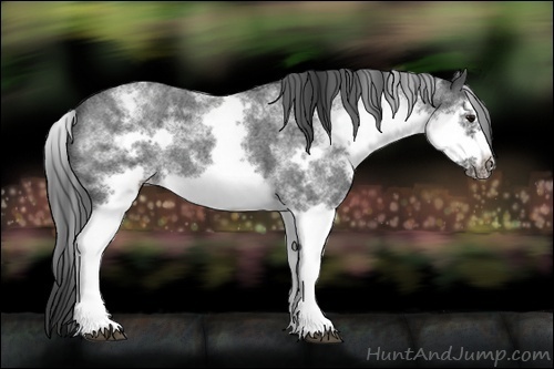 Horse Color:White Spotted Blue Roan Splash Frame Varnish
