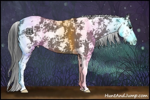 Horse Color:Grullo Sabino 