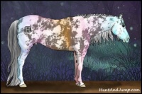 Horse Color:Grullo Sabino