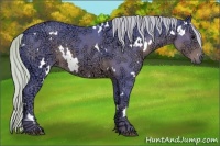 Horse Color:Watercolor White Spotted Silver Black Ice