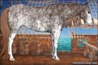 Horse Color:White Spotted Liver Chestnut 