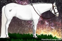 Horse Color:Chocolate Palomino Varnish