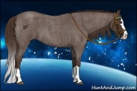 Horse Color:Liver Red Roan Splash