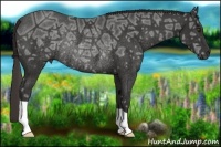 Horse Color:Liver Chestnut Ice Rabicano 