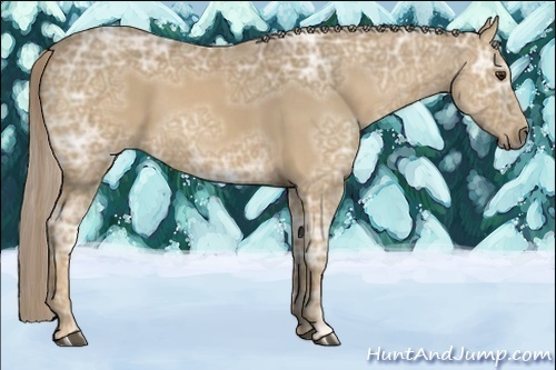 Horse Color:Palomino Ice 